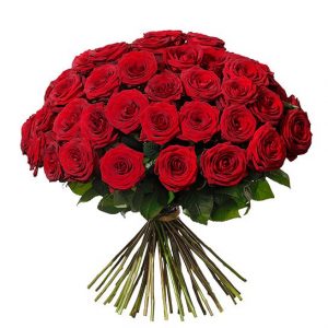 Lyxbukett med 50 röda rosor. Skicka dem med bud från Interflora!