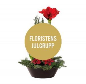 Låt floristen skapa en stämningsfull julgrupp! Välj mellan tre prisnivåer eller välj summa själv. Ett alternativ hos Interflora.
