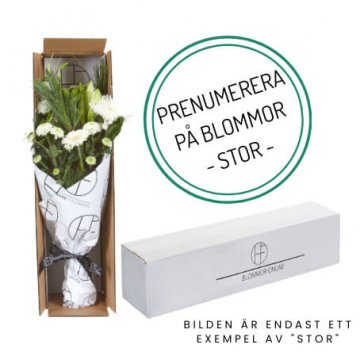 Beställ en blomsterprenumeration hos Florister i Sverige