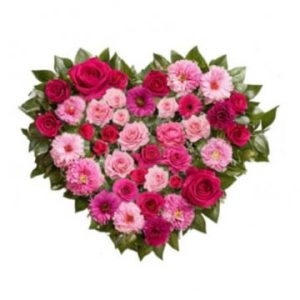 Mycket vackert begravningshjärta, helt fyllt med snittblommor i olika rosa och lila nyanser. Gröna blad som en ram runt om hjärtat som finns i olika storlekar hos Florister i Sverige.